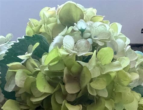 MAKE YOUR HOME FEEL HOMEY - k.bizer