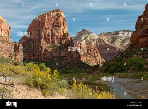 Bridge Mountain Zion National Park Hi Res Stock Photography And Images