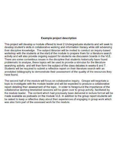 FREE 24+ Project Description Samples in PDF, MS Word