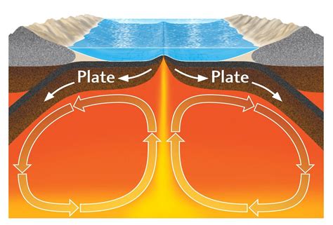 Diagram Of Convection Currents In The Mantle