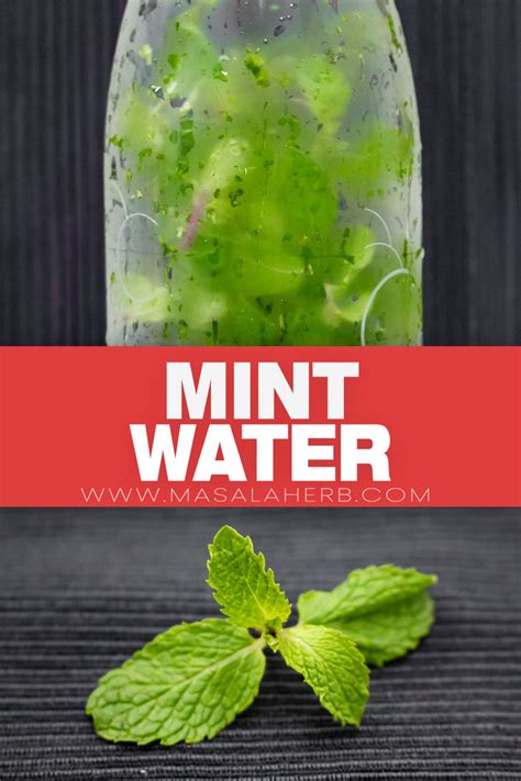 homemade mint infused water