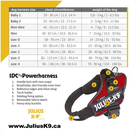 How To Measure Your Dog For A Harness Juliusk9® Canada