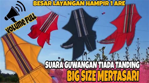 BIG SIZE BEBEAN PANTAI MERTASARI YouTube