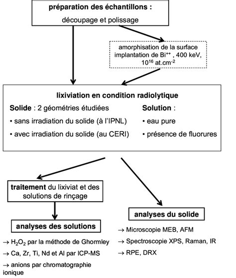 Description schématique du protocole expérimental mis en place pour