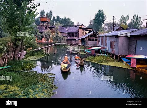 Floating Vegetable Market Dal Lake Srinagar Kashmir India Stock