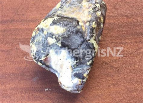 How To Identify Ambergris Ambergris New Zealand