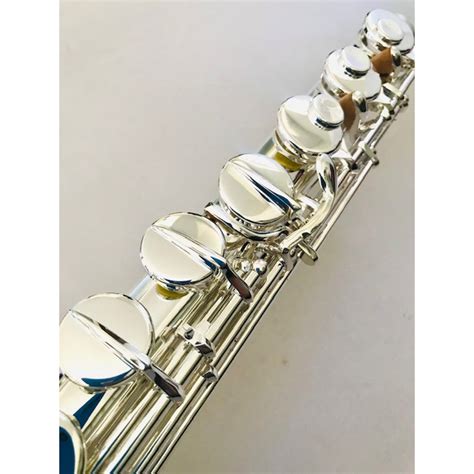 NEW DiZhao DZA 200 Alto Flute Sterling Silver Headjoint And Body Both