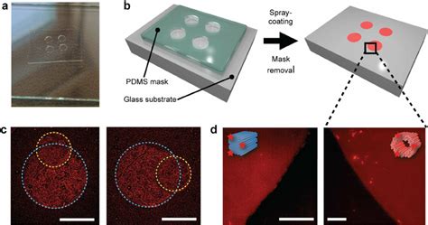 Patterning Substrates With Fluorescently Labelled Dna Origamis A A