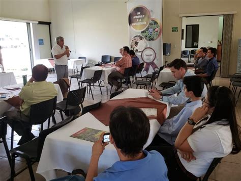 Intercambio de experiencias sobre control biológico de la broca del