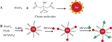 Gold Nanoparticle Based Gene Delivery Promises And Challenges