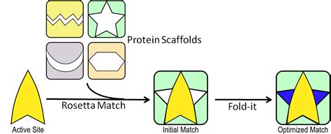 Team Washington Project Foldit Igem Org