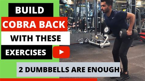 The BEST Dumbbell Exercises BACK EDITION 2020 YouTube