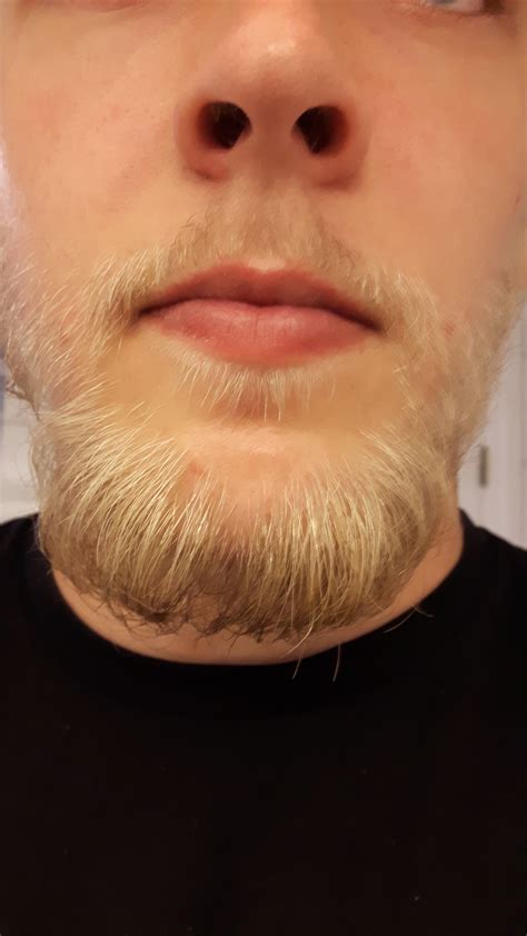 Y O Blonde Beard WEEK Need Help Page Beard Board