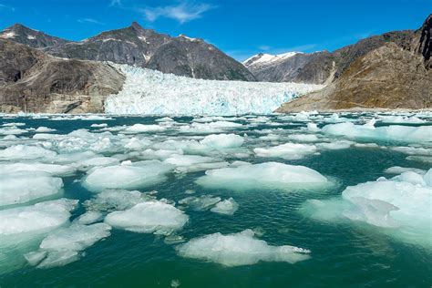 expert tips  photographing alaskas wildlife ncl travel blog