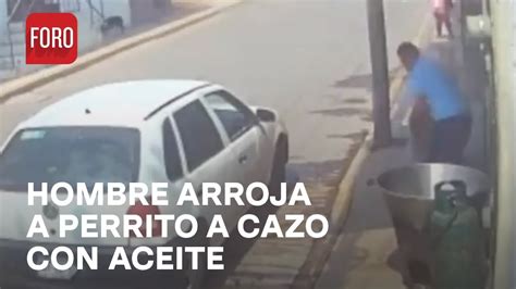 Arroja a perro a cazo con aceite Fiscalía investiga Las Noticias