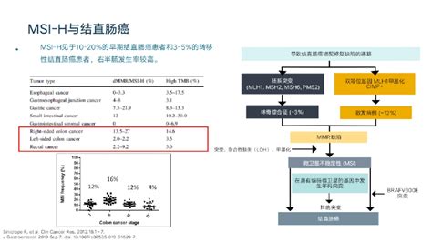 转移性结直肠癌免疫治疗进展！ 微医（挂号网）