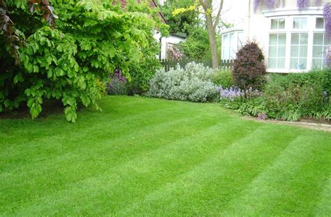 7 Tips for Choosing the Best Grass for Your Lawn