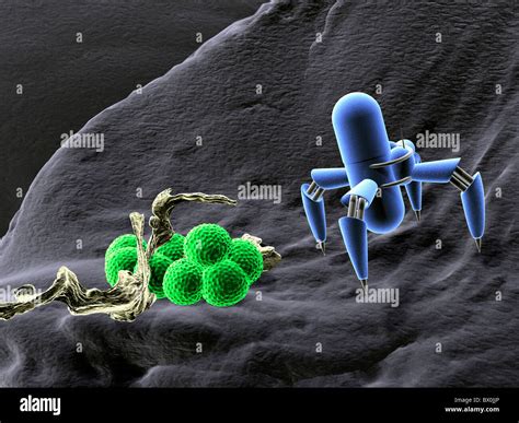 Nanorobot Hi Res Stock Photography And Images Alamy