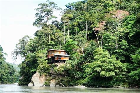 5 Reasons to Visit the Jungle of Peru - Machu Picchu Amazon Peru