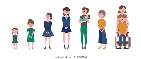 Vector Illustration Set Life Cycle Woman Stock Vector Royalty Free