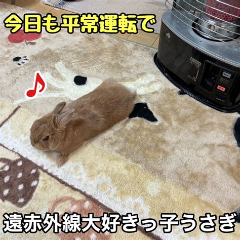 声を大にして お伝えしたいこと お父さん編 ゴン太の日常