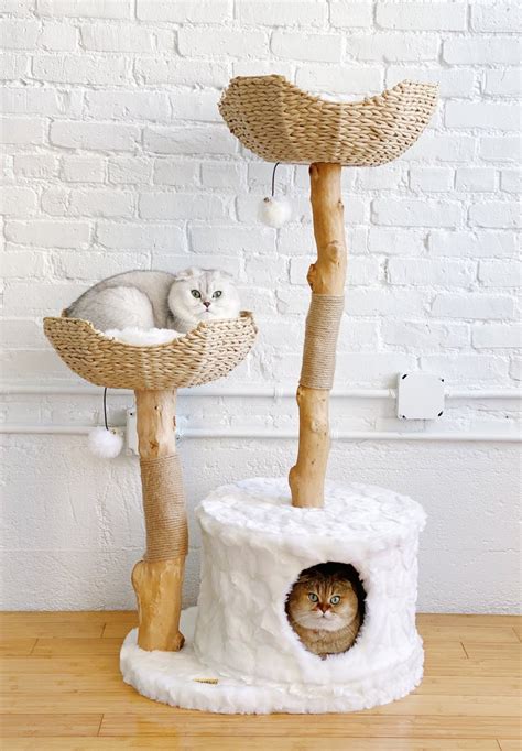 Natural Wood Cat Tree Uk Superiorly History Photo Exhibition