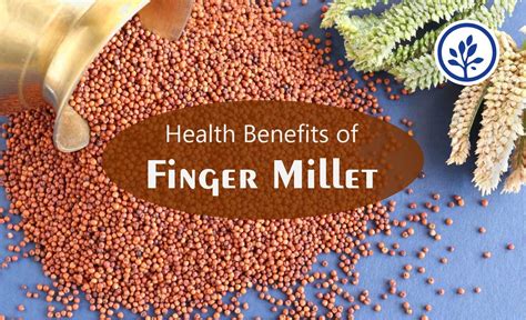 Health Benefits Of Finger Millets Organic Orion