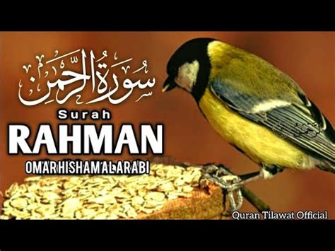 Surat Ar Rahman relaxing video সর আর রহমন Surah Ar Rahman by Omar