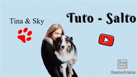 TUTO Apprendre le salto à son chien YouTube