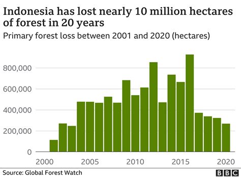 Deforestation Statistics 2025 Cass Danielle