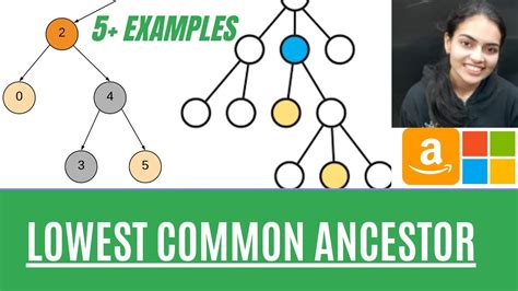 Lowest Common Ancestor Of A Binary Tree Intuition Example