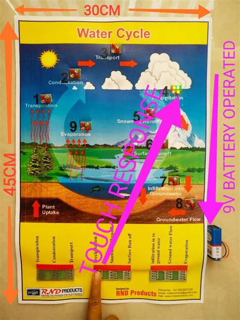 Rnd Products Model Water Cycle Teaching Aid Size X Cm