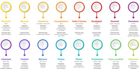 Terpene Profiles