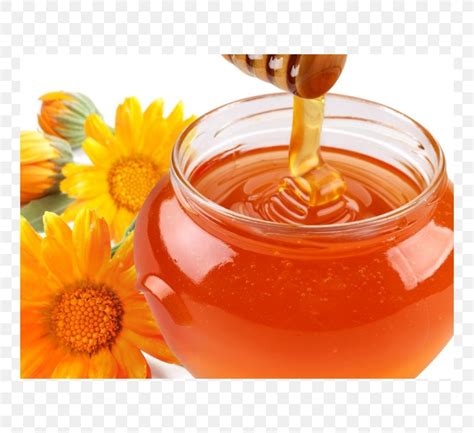 Honey Bee Honey Bee Syrup Food Png 750x750px Bee Cooking Drink