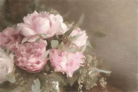 Blush Pink Peonies Mixed Media By Susan Maxwell Schmidt