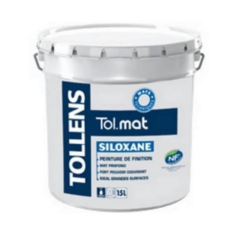 Peinture Professionnelle TOLLENS Tol Mat Siloxane Mat Absolu