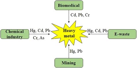 Phytoremediation As A Green And Sustainable Prospective Method For Heavy Metal Contamination A