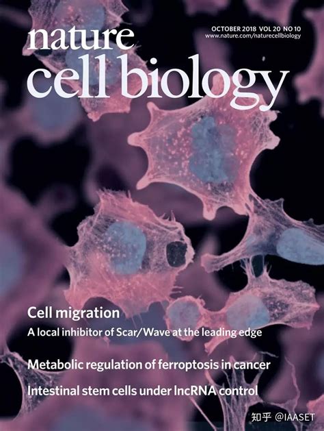 10月nature子刊的45张封面，你pick哪一张？ 知乎