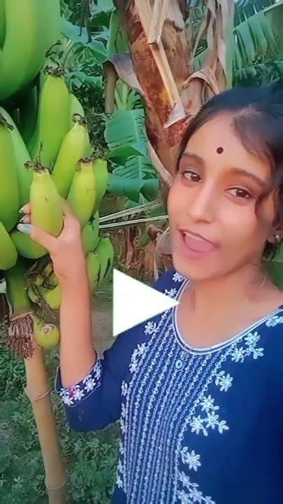 কলা 🍌 কে শসা বলছে দিদি😂😂 Instagram Funny Comments Roast Bengali