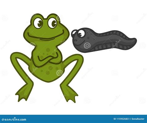 Mother Green Frog And Funny Baby Tadpole With Eyes Stock Vector