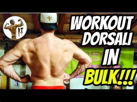 WORKOUT DORSALI IN FASE DI BULK YouTube