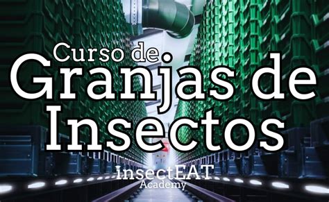 Curso C Mo Es Montar Una Granja De Insectos Tu Granja De Insectos