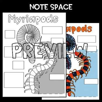 SCIENCE CLASSIFICATION SCAFFOLDED NOTES ANCHOR CHART Myriapods TPT