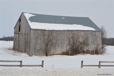 Upstate New York Weathered Barn On Rt 12e Near Chaumont New York Weather Upstate New York