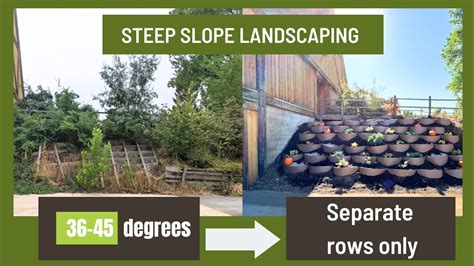 Steep Slope Landscaping Hillside Renovation Apply The Separate Row