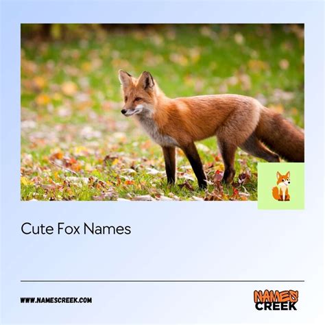 Top 500 Fox Names: Creative And Fun Names For Your Fox Companion