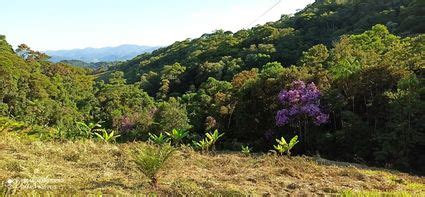 Sítio em Santa Izabel Águas Mornas SC por R 300 000 Rafali Imóveis