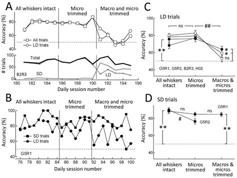 Figure 4 From Psychometric Curve And Behavioral Strategies For Whisker