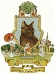 Burmese History - United Burmese Cat Fanciers