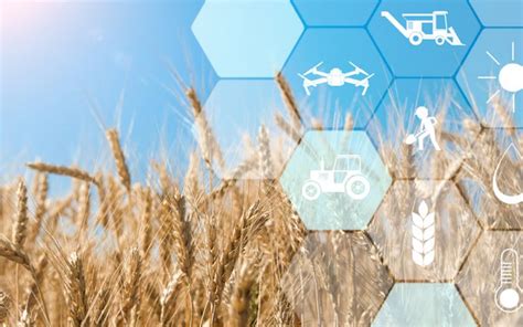 Accelerating Precision Agriculture To Decision Agriculture Crspi